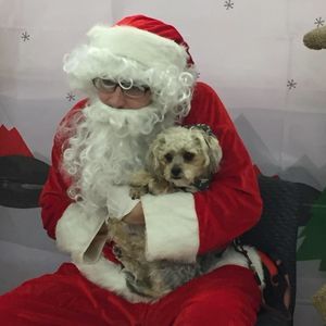 Meet your Posher, Elise